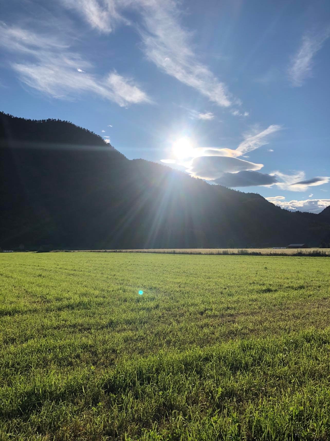 Fields on a farm